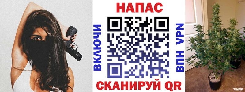 Где купить наркотики Волжский Каннабис  Alpha-PVP  АМФЕТАМИН  Меф  COCAIN  Гашиш 
