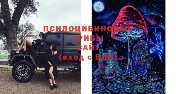 мдпв Абдулино