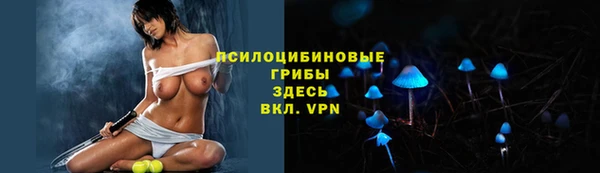 МДМА Алексеевка