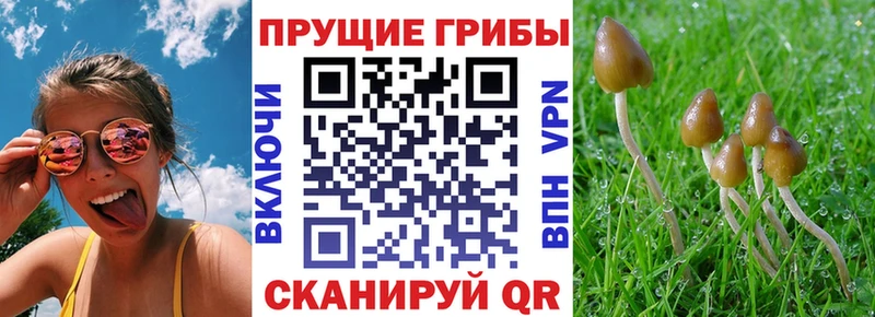 Галлюциногенные грибы GOLDEN TEACHER  Волжский 